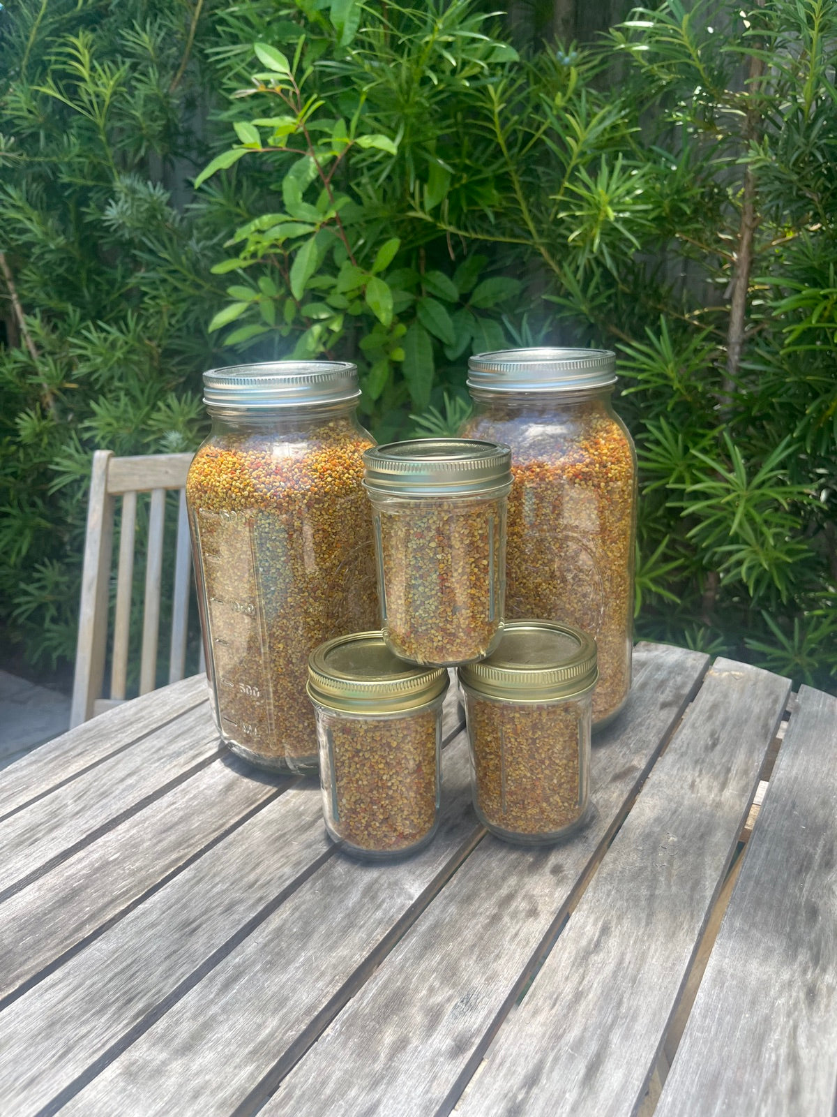 Golden bee pollen granules